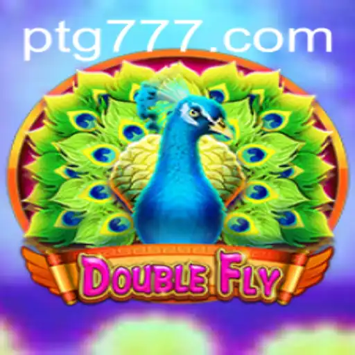 Exploring the Exciting World of DoubleFly tg777